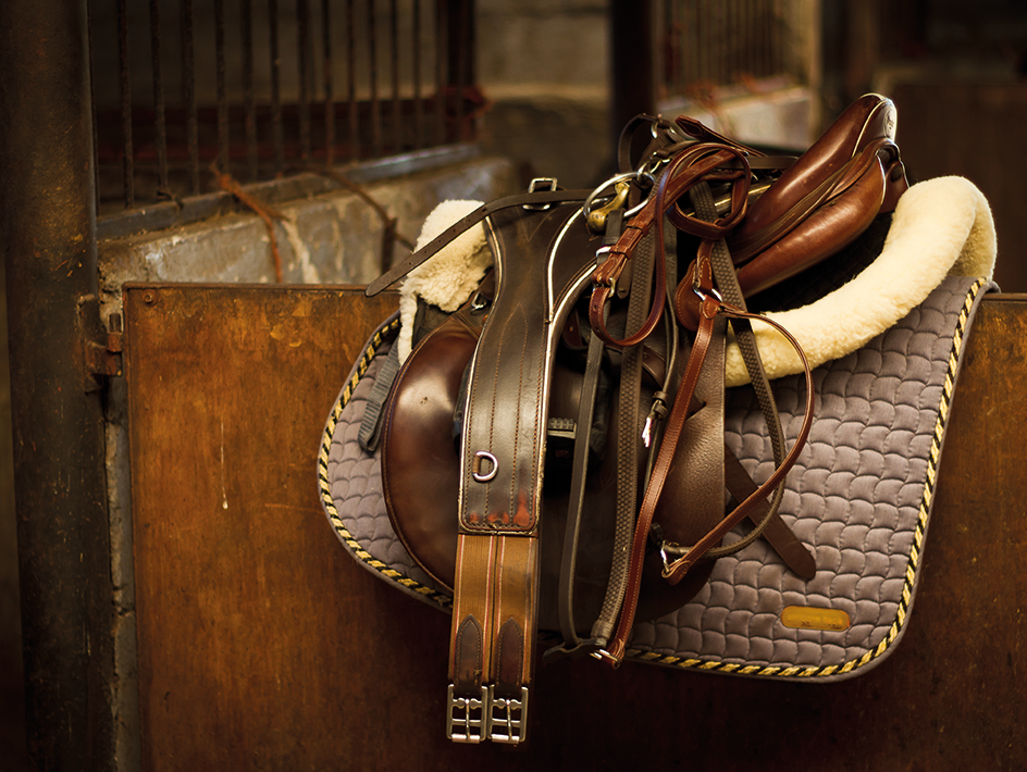 horse saddles and equipment