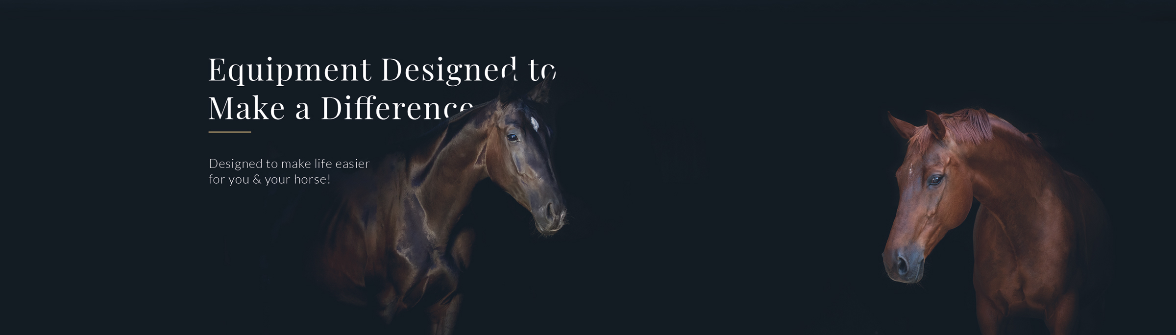 Horse equipment banner