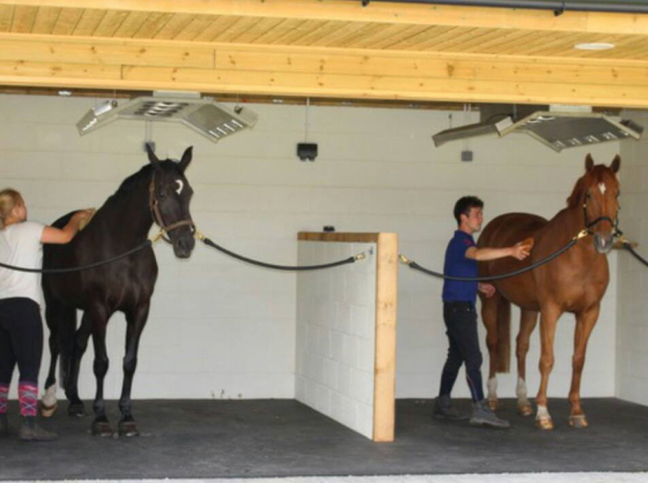 horse washbox in action